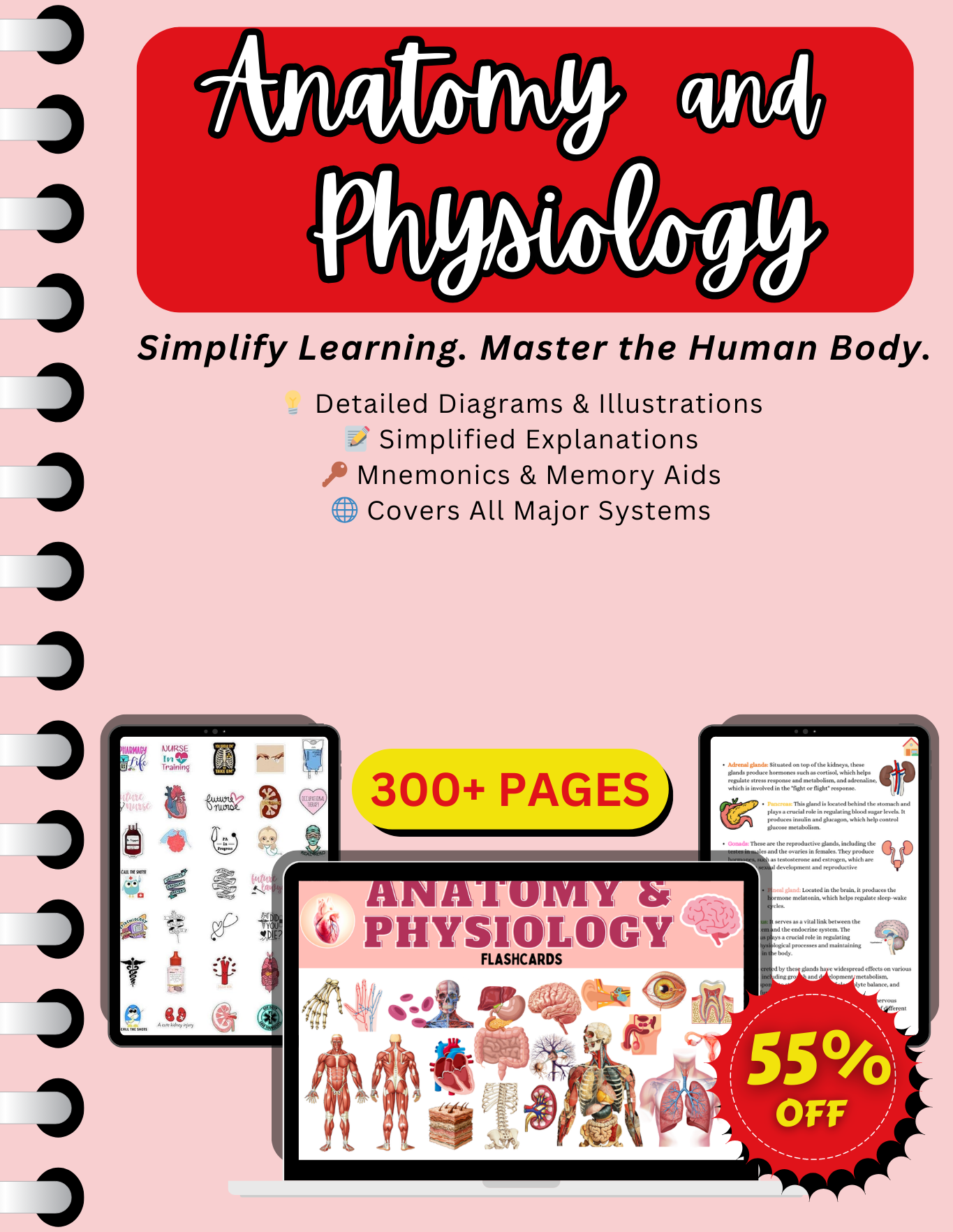 Anatomy and Physiology Essentials Notes