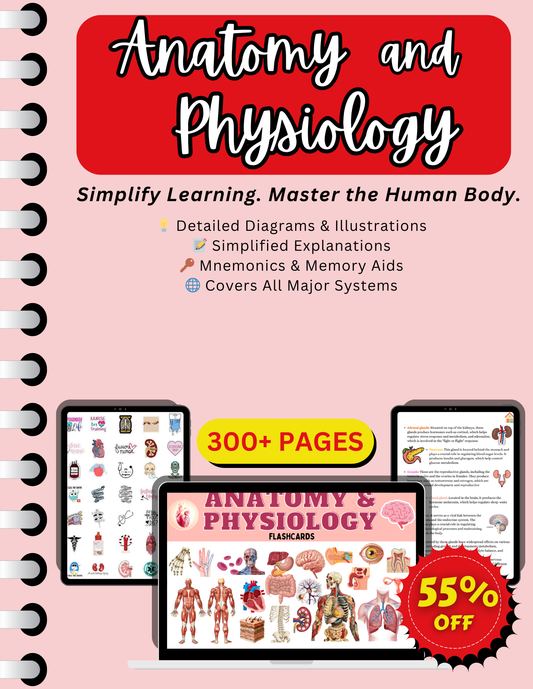 Anatomy and Physiology Essentials Notes