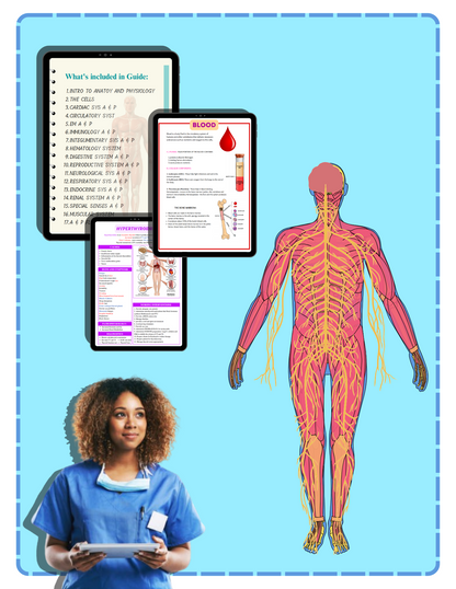 Anatomy and Physiology Essentials Notes